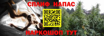 a pvp Гатчина