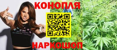 a pvp Гатчина