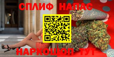 МДПВ Гай