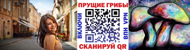 Галлюциногенные грибы GOLDEN TEACHER  купить наркотики сайты  Карабулак 