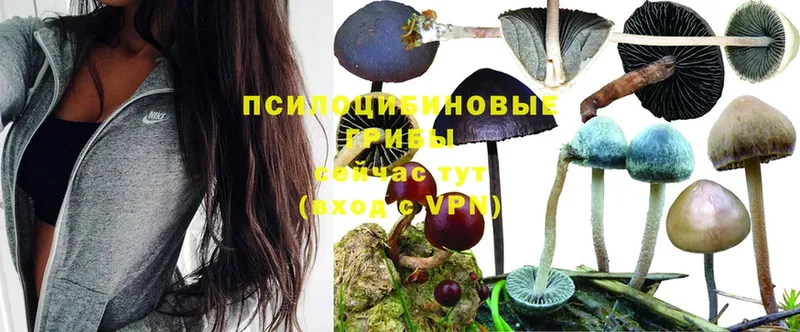 Галлюциногенные грибы MAGIC MUSHROOMS  Карабулак 