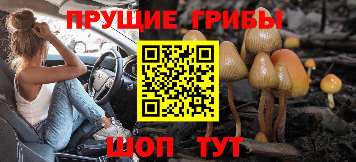 Карабулак  Псилоцибиновые грибы ЛСД  Псилоцибиновые грибы Psilocybine cubensis  наркошоп  Вход с VPN 